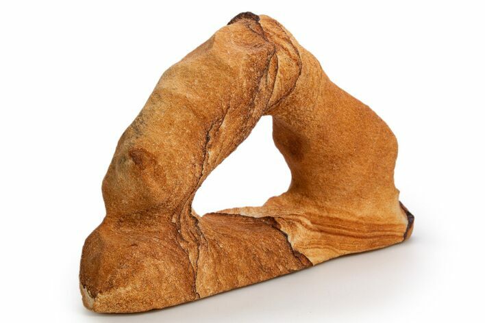 Wide Picture Sandstone Arch - Arizona #324495